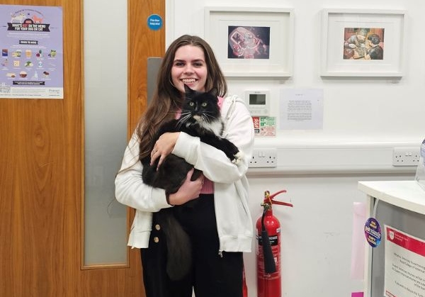 KRKA UK honours excellence in its Veterinary Reception Awards 2025